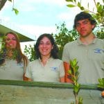 article image - 
